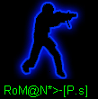 RoMaN